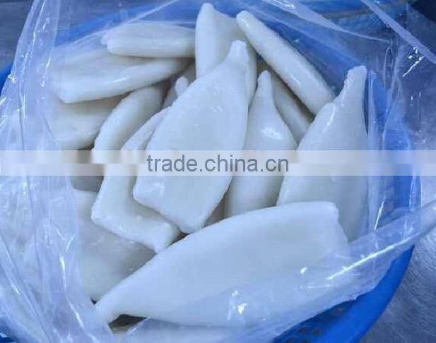 suqid tube of frozen giant squid