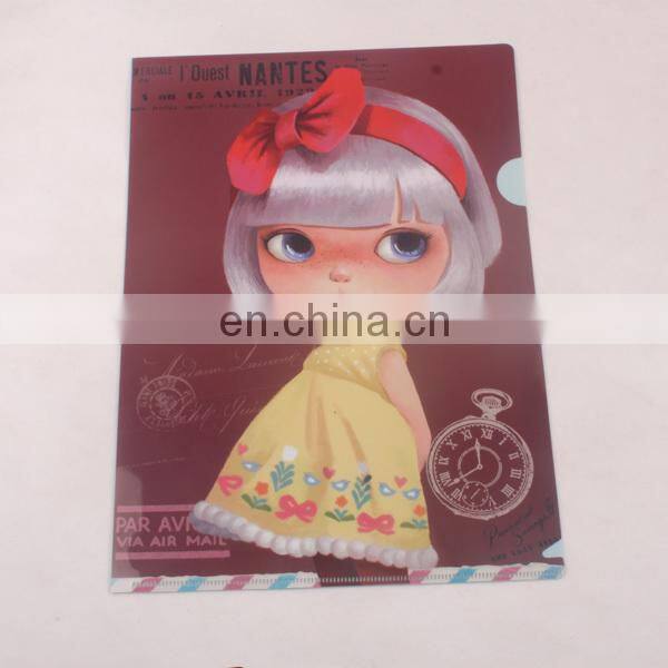 file folder Type and PP Material file folder
