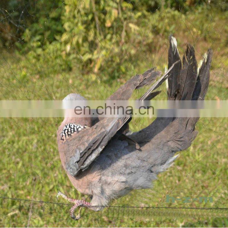 110D/2Ply  Strong Chinese mesh mist nets for bird hunting animal