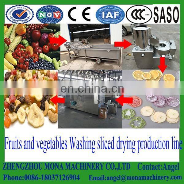 Fruit vegetable washing machine/Leafy Vegetable Cleaning Machine/air bubble vegetable and fruit washing machine