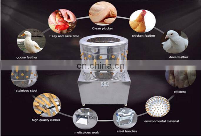 Chicken Plucker Small Feather Plucking Machine Birds feather removal machine