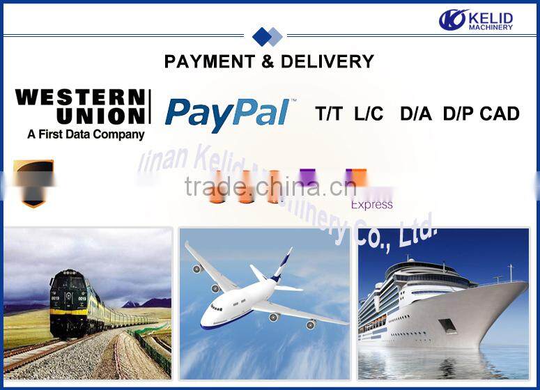 Automatic Stainless Steel Penne Pasta Processing Line