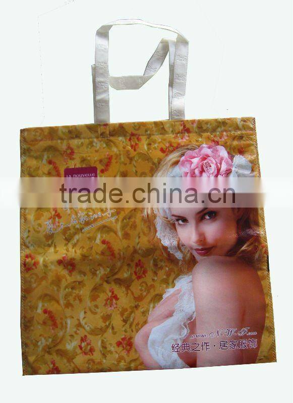 pp non-woven shopping carry bag