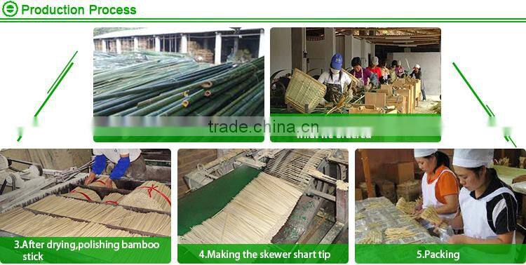 Parrot colorful decoration cake and fruit wooden cocktail picks in bar