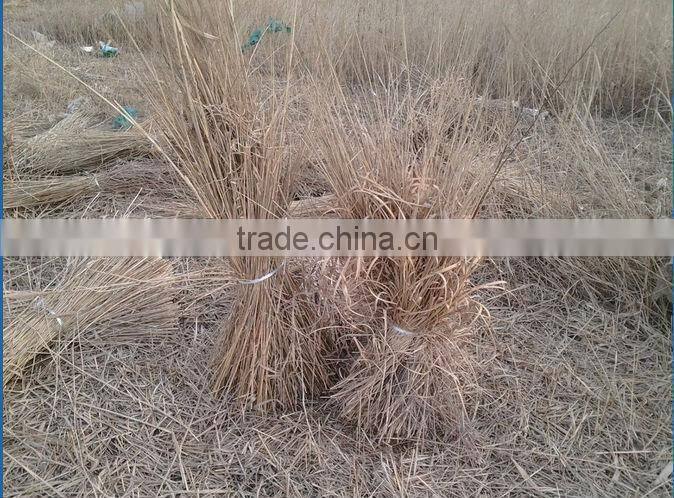 Hot sale new model reaper binder harvest for sale