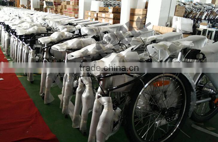 hot selling rear pack battery electric bike with CE