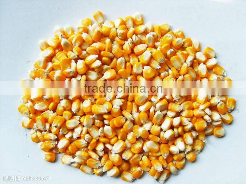 corn threshing machine YT-30 with competitive price