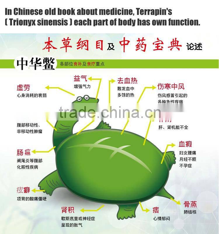 Taiwan Natural health Essence of Terrapin drink fine nutrition