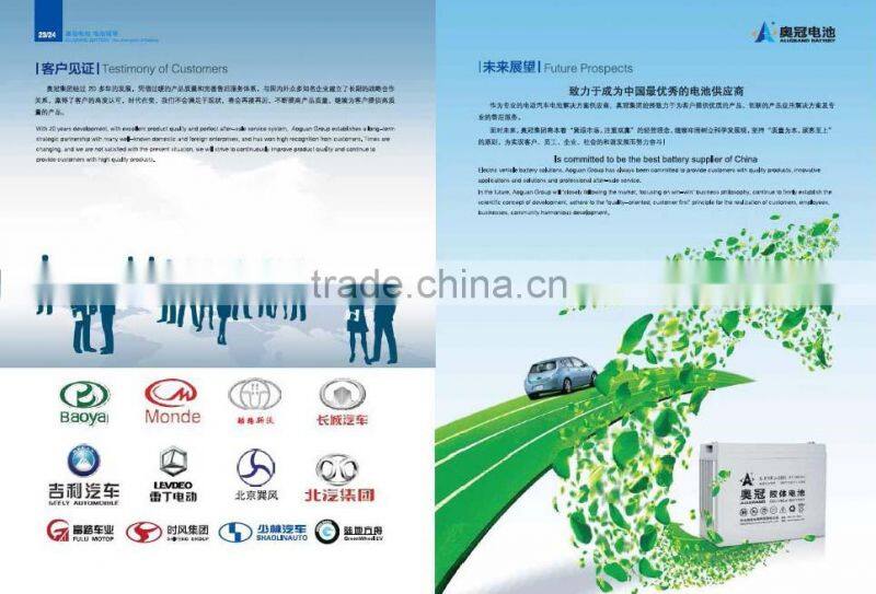 high qulity electric vehicle recharge battery 6EVF(J)135AH