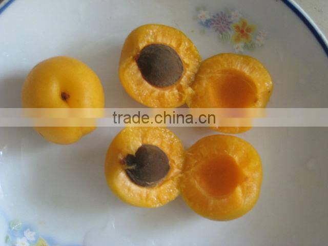 better fresh canned apricot half