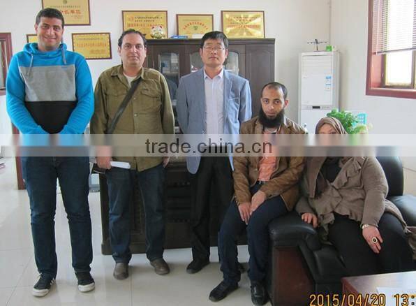 Automatic Reinforcing Wire Mesh Welding Machine/Welded Wire Mesh Panel Fence Machine