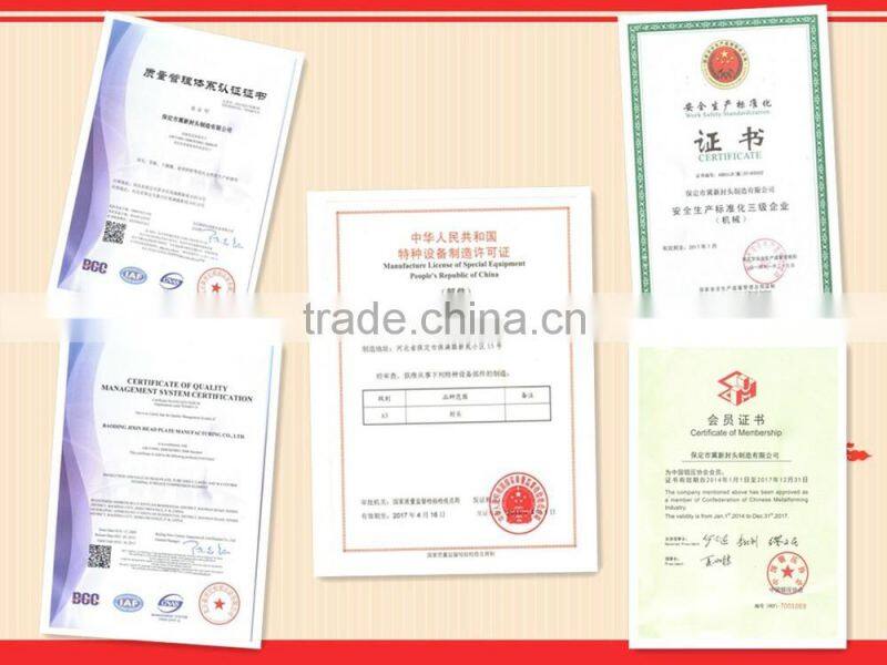 carbon steel fittings stainless steel end cap