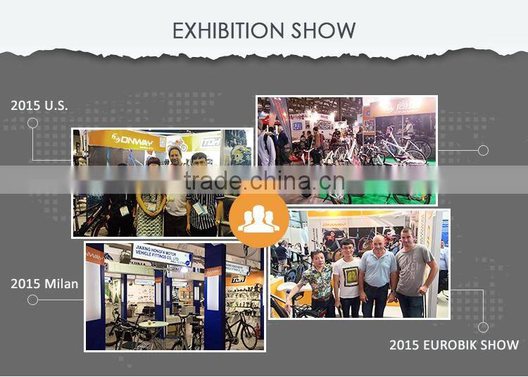 ONWAY Electric Bike Digital LED Display