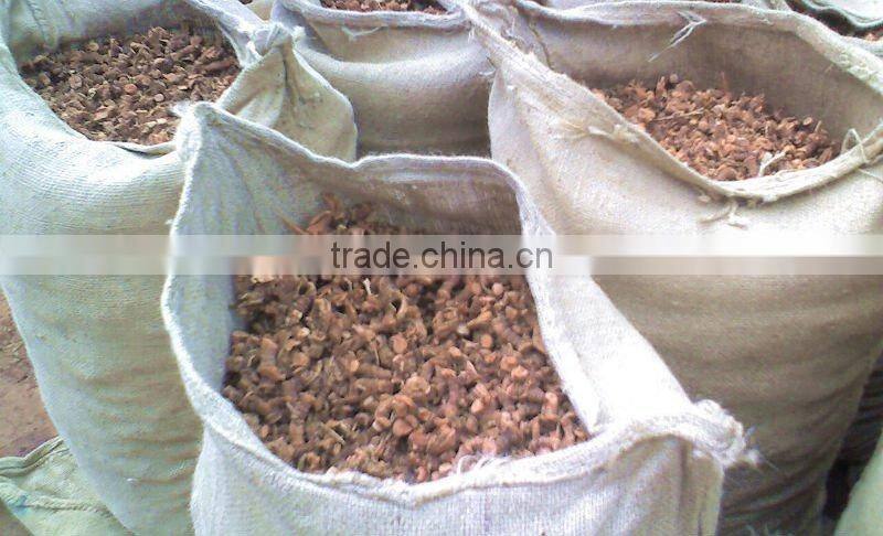 Chieses Economy Organic Galangal Roots