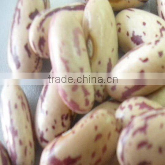 Crop 2010 kidney beans