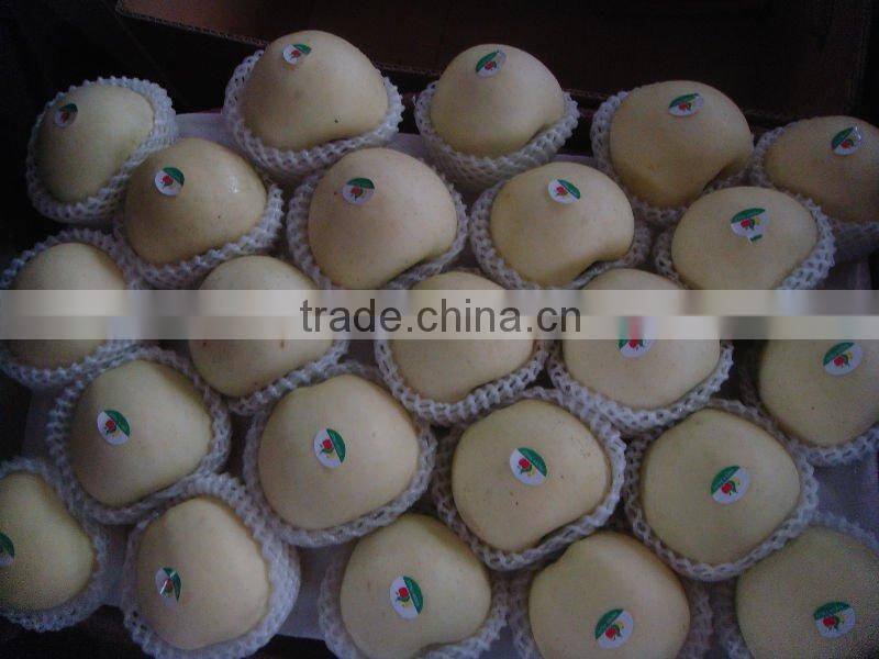 Chinese Golden Pear 9kg 18kg Carton