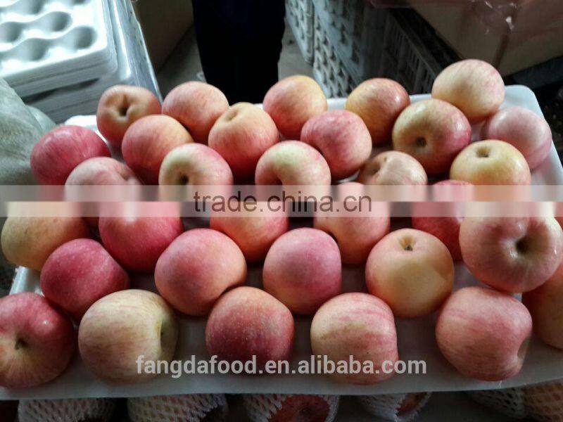 Cold storage fresh apple/low price