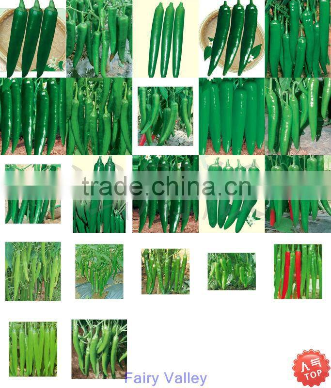 Big Sharp Sweet Horn Pepper-Pepper Seeds for planting