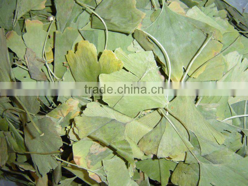 Ginkgo Biloba Extracts