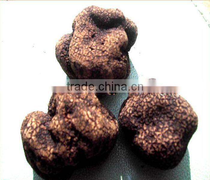 Dried Chinese truffle black Truffel