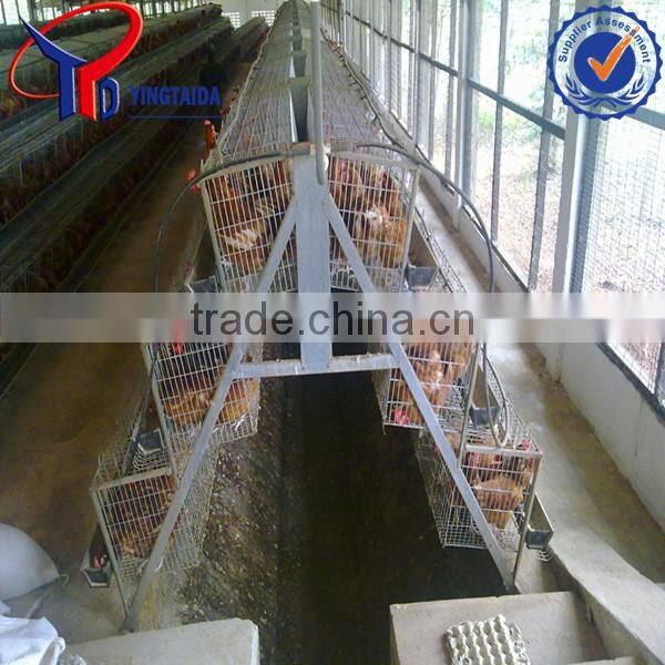 poultry dung removing machinery equipment /layer poultry cages for nigeria/africa