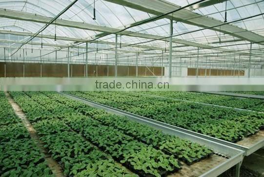 Seedbed for flower bud