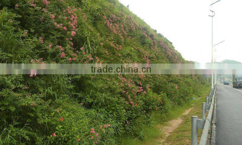 highway slope green grass seeds planting machine