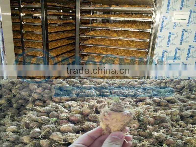 heat pump drying equipment for fruits vegetables and sea food and charcoal barbecue
