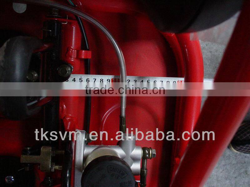 TK250GK-6 250cc Go Kart BUGGY