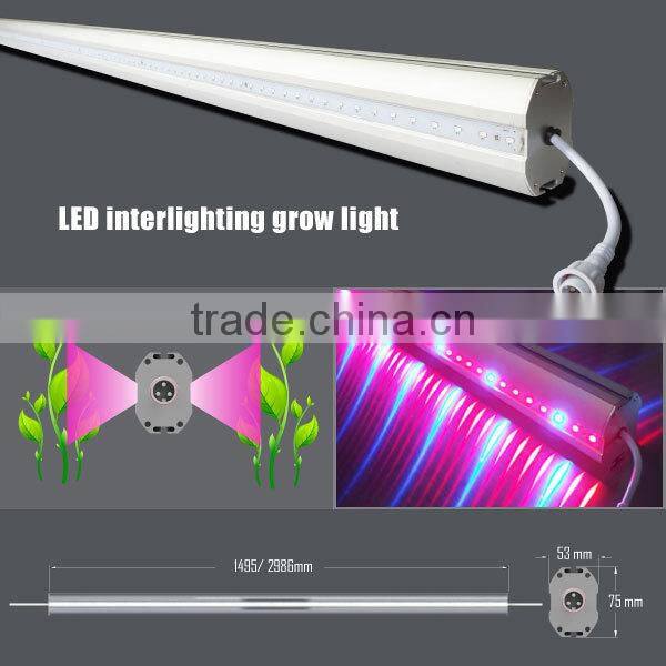 High PAR interlighting 150W LED grow light bar cucumber tomato strawberry