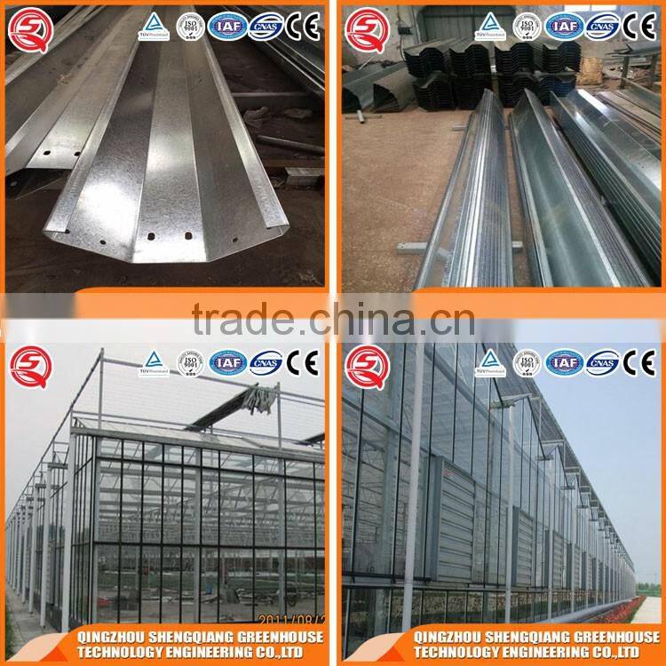 Factory outlet large Multi-span glass agricultural-commercial Greenhouses