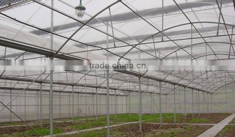 Outside the sun flower cultivation plastic greenhouse