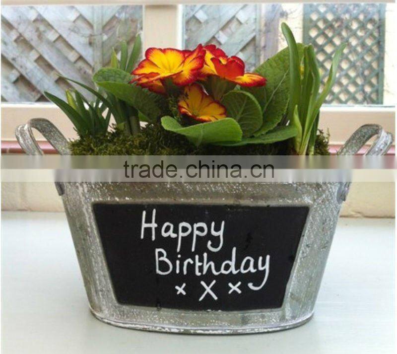 Holiday Growing Kits, Holiday Garden Gifts, Xmas Garden Kits