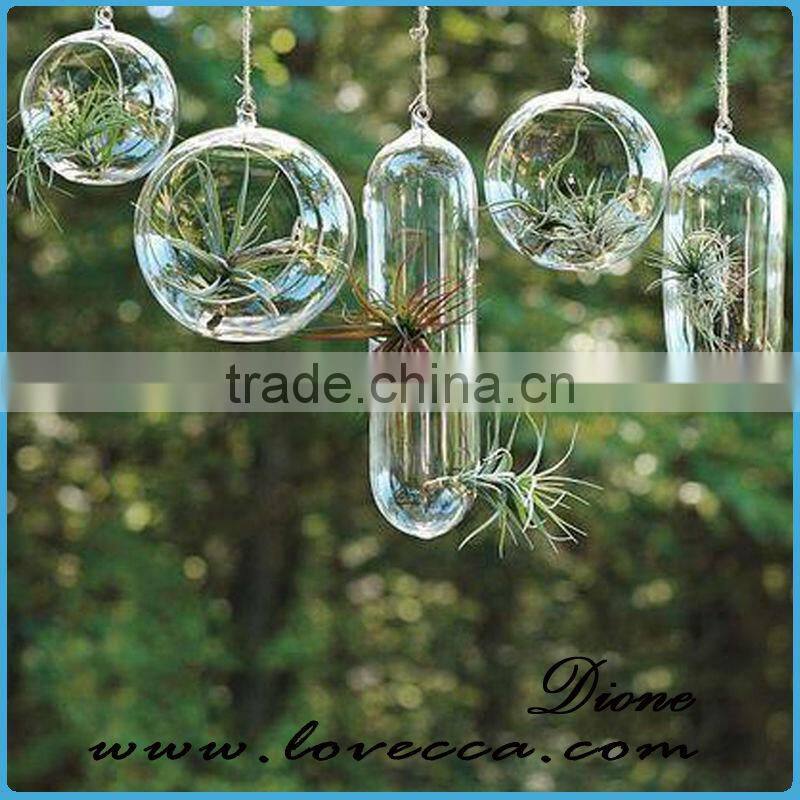 Hanging glass terrarium/ clear glass terrarium globe/ glass ball terrarium