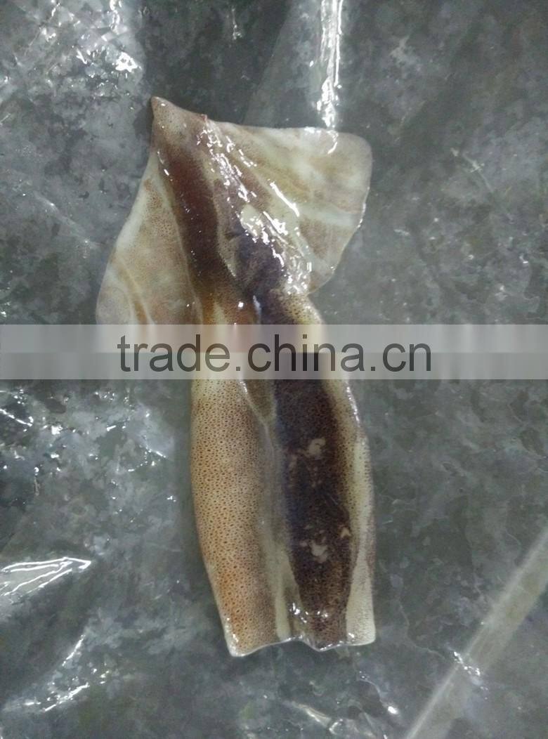 Zhengyuan Frozen Illex Squid Tube
