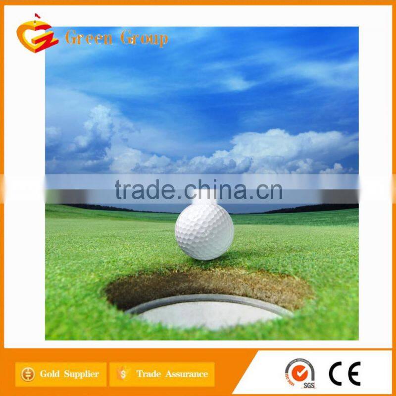 2 pcs promotional golf ball in bluk for wholesale