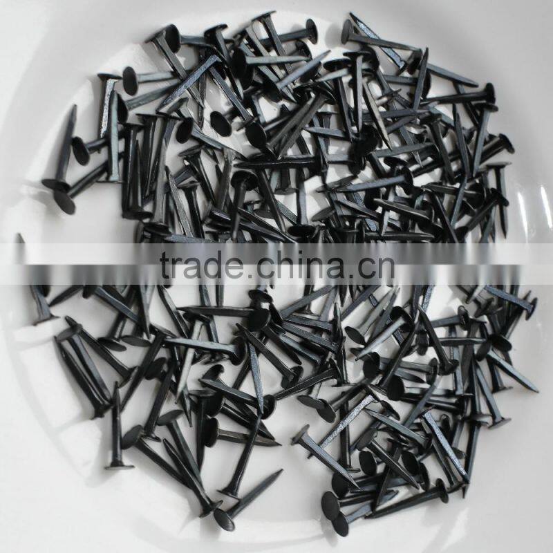 Round Head Shoe Nails/Shoe Tack Nail
