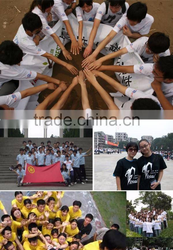 2016 custom silk screen printed t-shirt logo vinyl design for class/team/friend