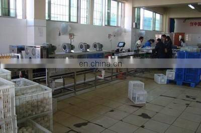 High quality Egg cleaning machine,egg washing machine