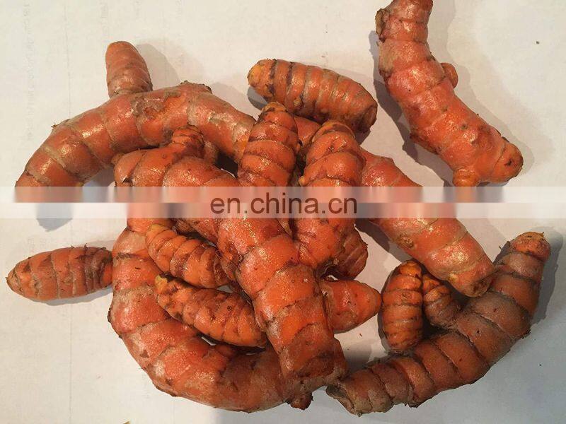 Exporting Fresh Turmeric From Vietnam