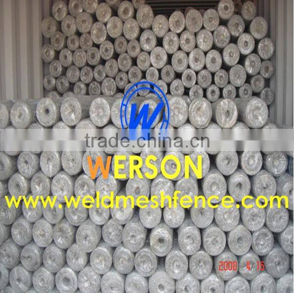 Chicken Wire Netting