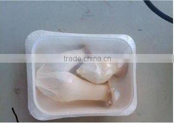 Mushroom Auto Shrink Packing Machine from Qingdao Fengye