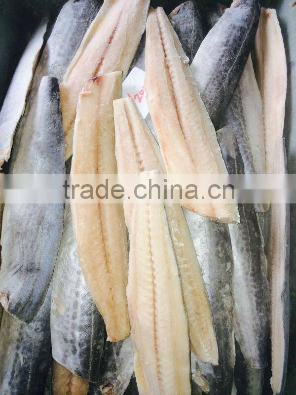 frozen spanish mackerel fillets