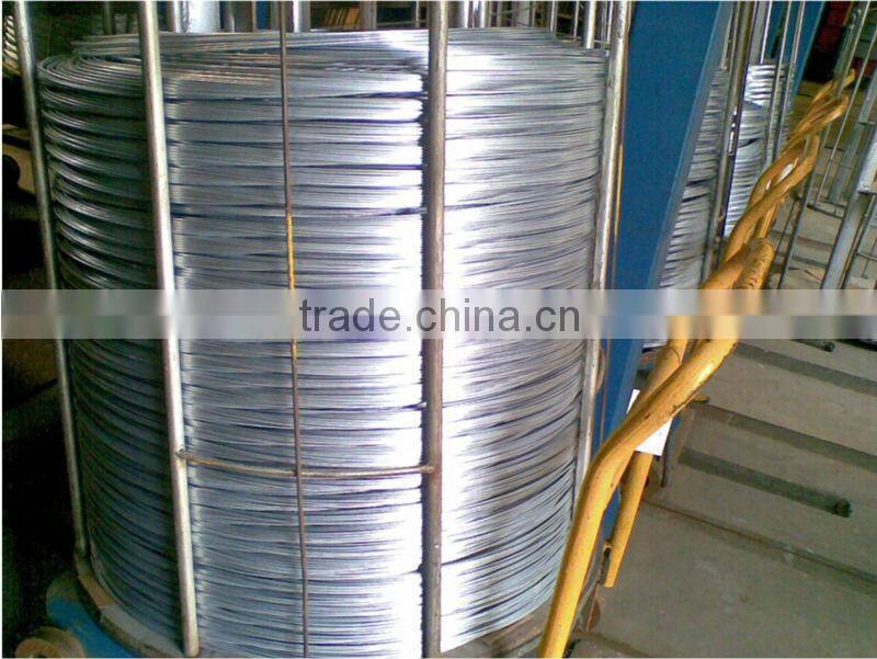 SAIP Annealed Wire rod for screw