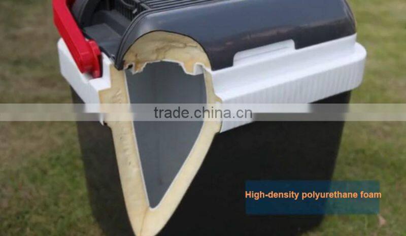 Portable Mini Cooler Box Car Refrigerator Thermoelectric Cooler Warmer