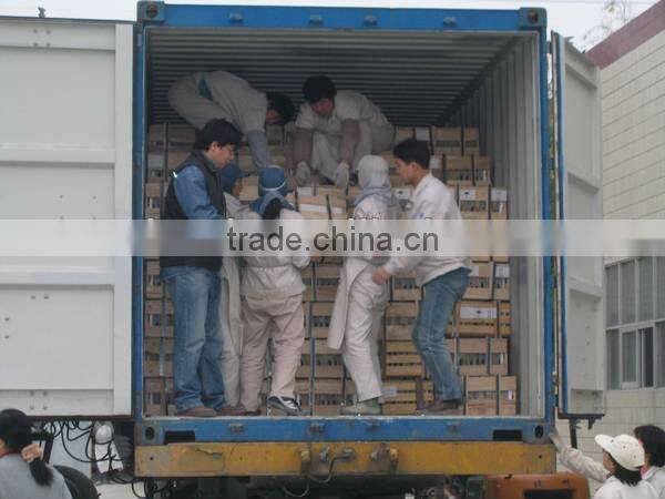 2013 hot sale Corundum Brick