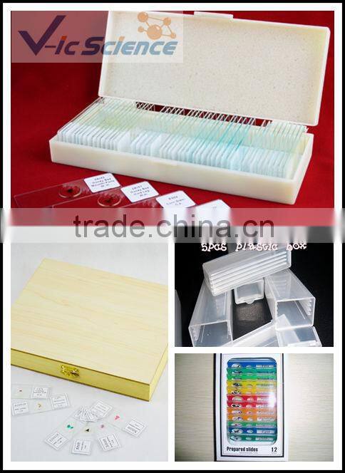 Botany tissue slides algae prepared sldies Scenedesmus W.M.