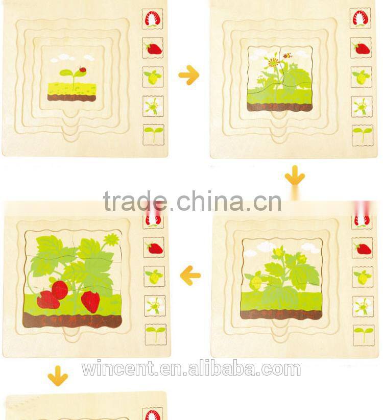 Strawberry Gowth Simple Multiple Layer Wooden Puzzle