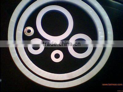 2" ASME B16.21 gasket with flat ring