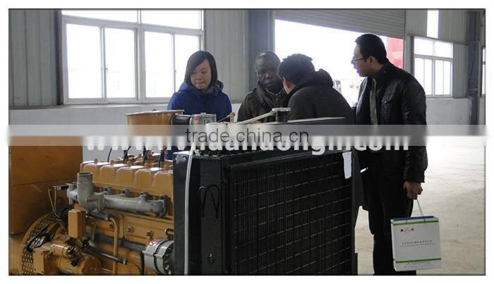 Turnkey project CE ISO High Efficient 10 - 50 kw small biogas plant